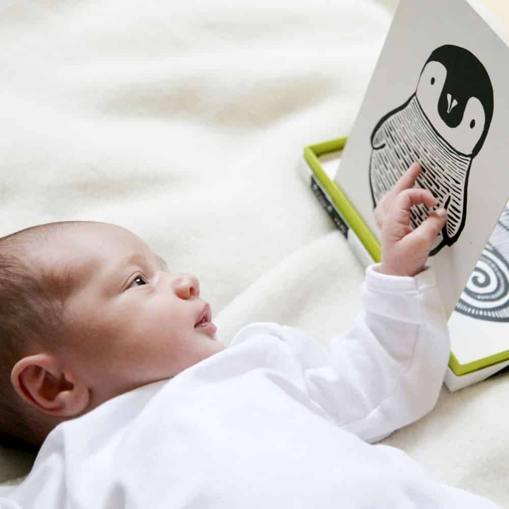 art cards for baby: jungle - Imagen 4