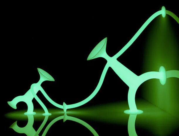 oogi glow - Imagen 3