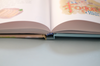 libro "Saltillo ilustrado" - Imagen 3
