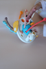sensory swan - Imagen 4