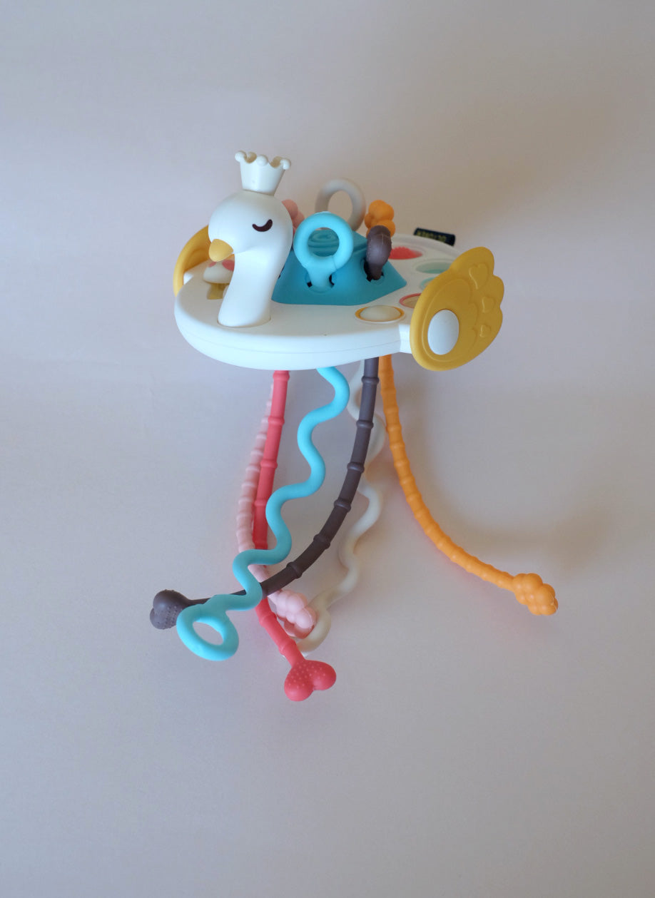 sensory swan