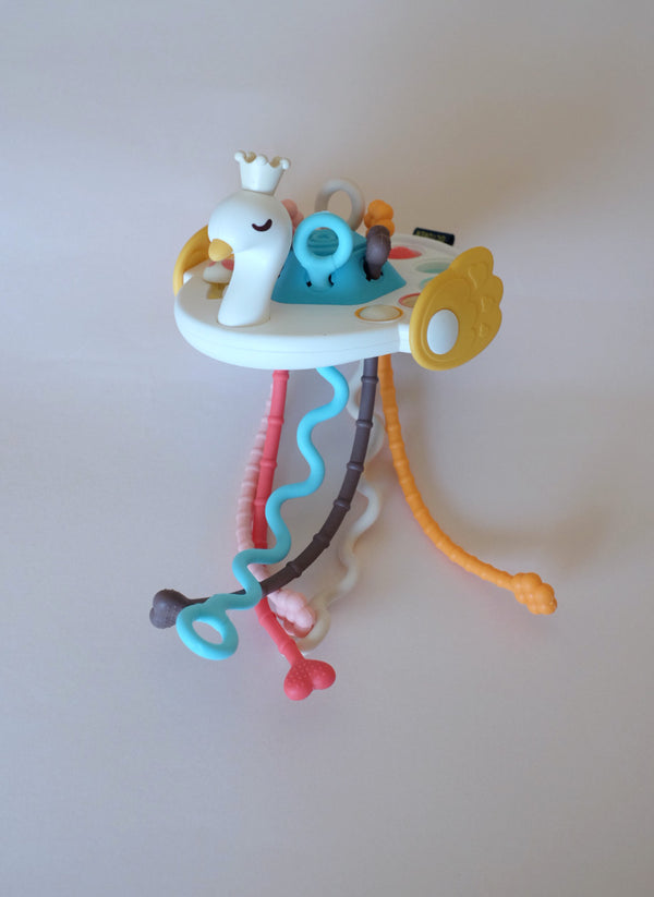 sensory swan