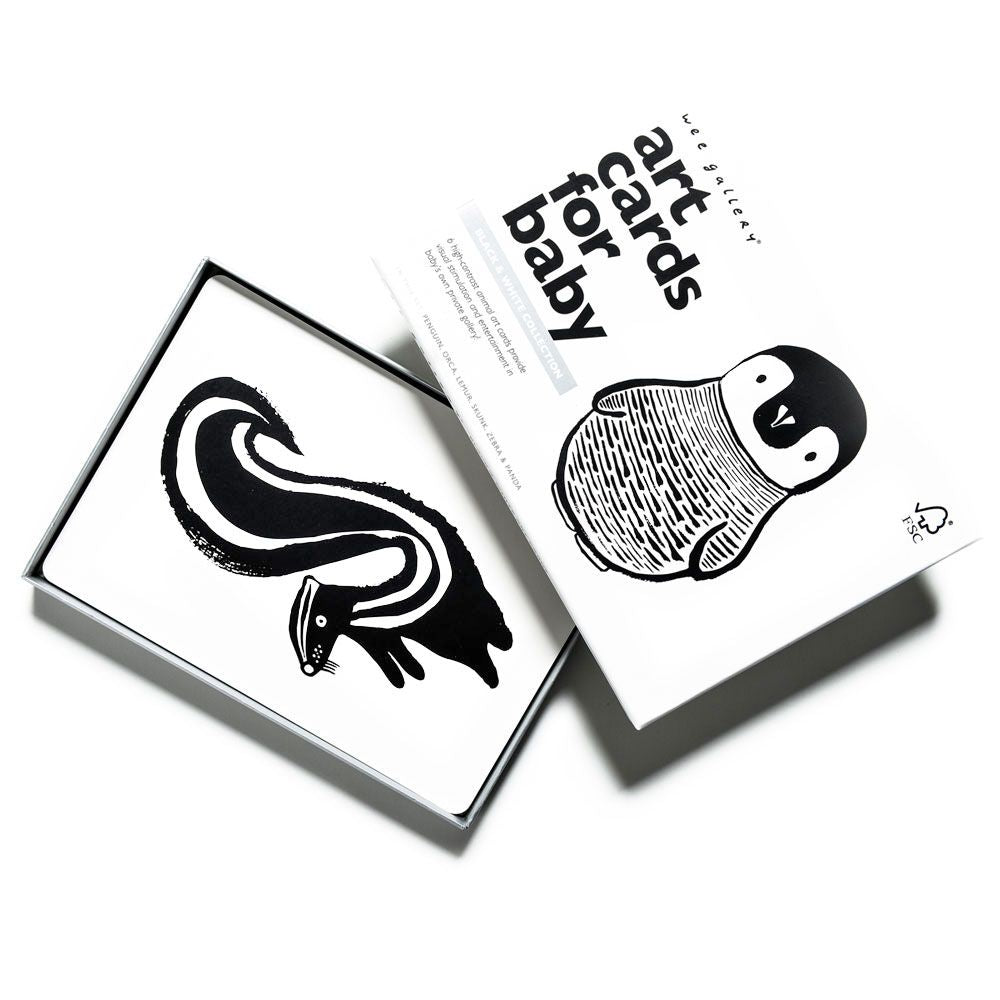 art cards for baby: black & white